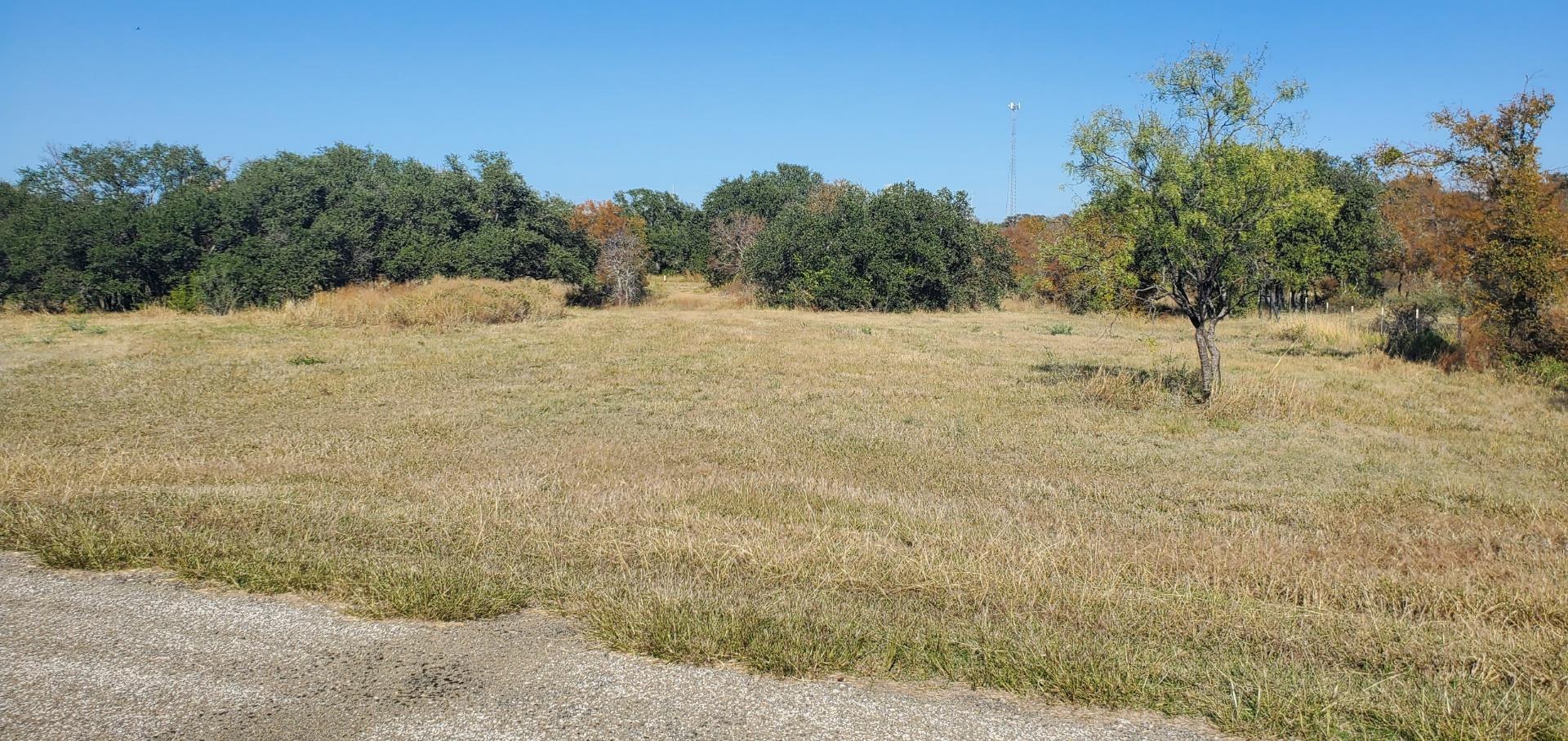 241 Lehne Loop, Buchanan Dam, TX 78609