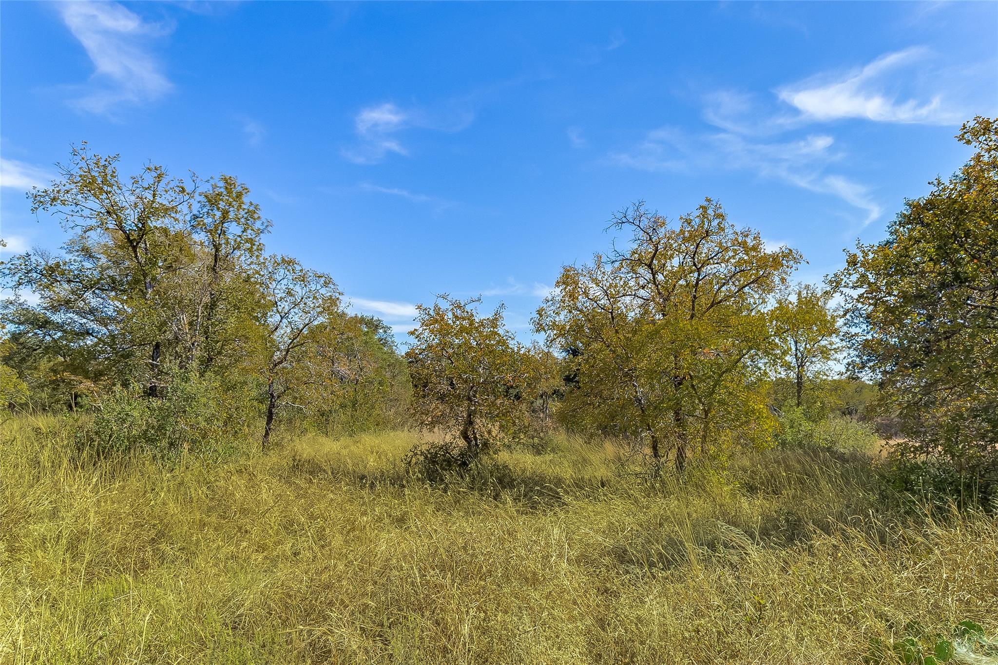 241 Lehne Loop, Buchanan Dam, TX 78609