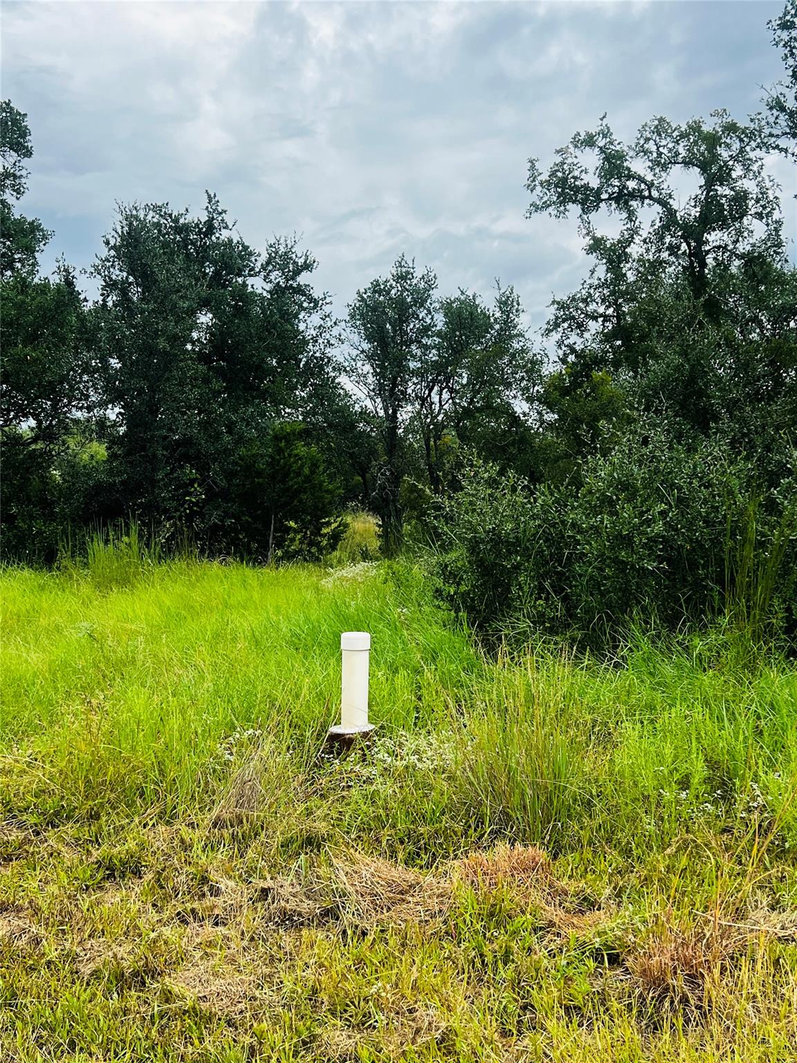 241 Lehne Loop, Buchanan Dam, TX 78609