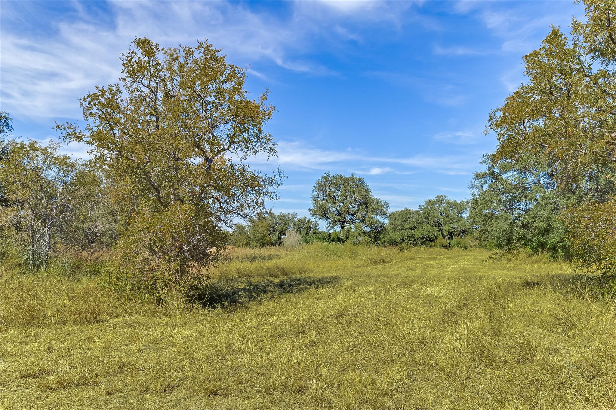 241 Lehne Loop, Buchanan Dam, TX 78609