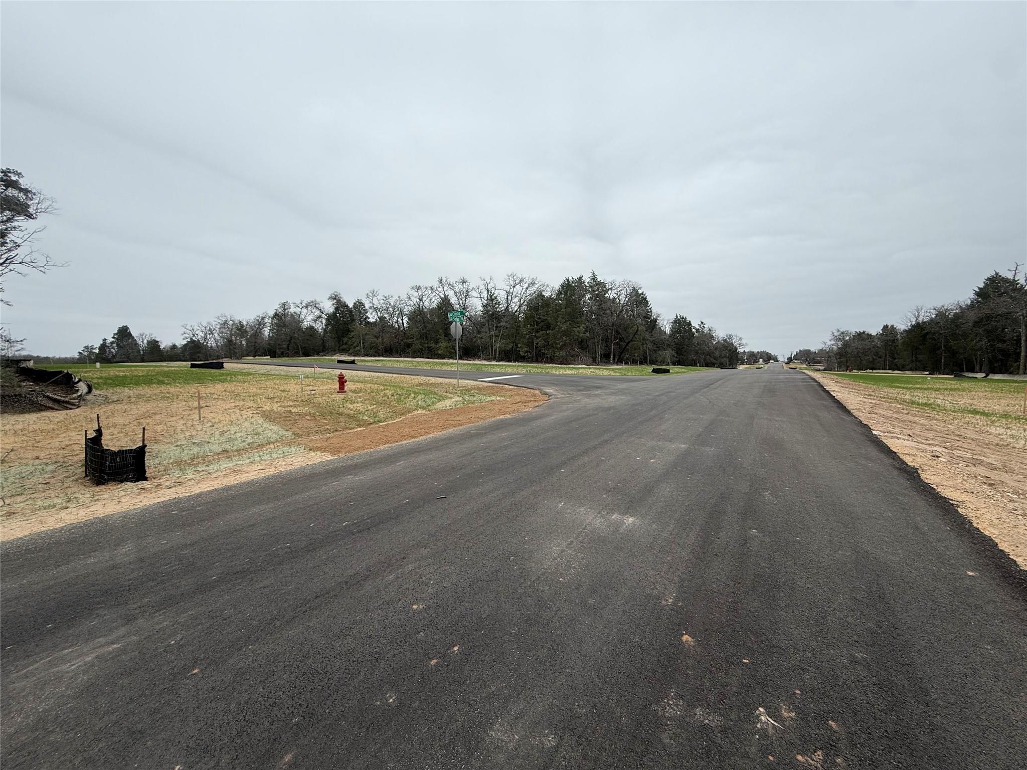 158 Los Robles Rd, Elgin, TX 78621