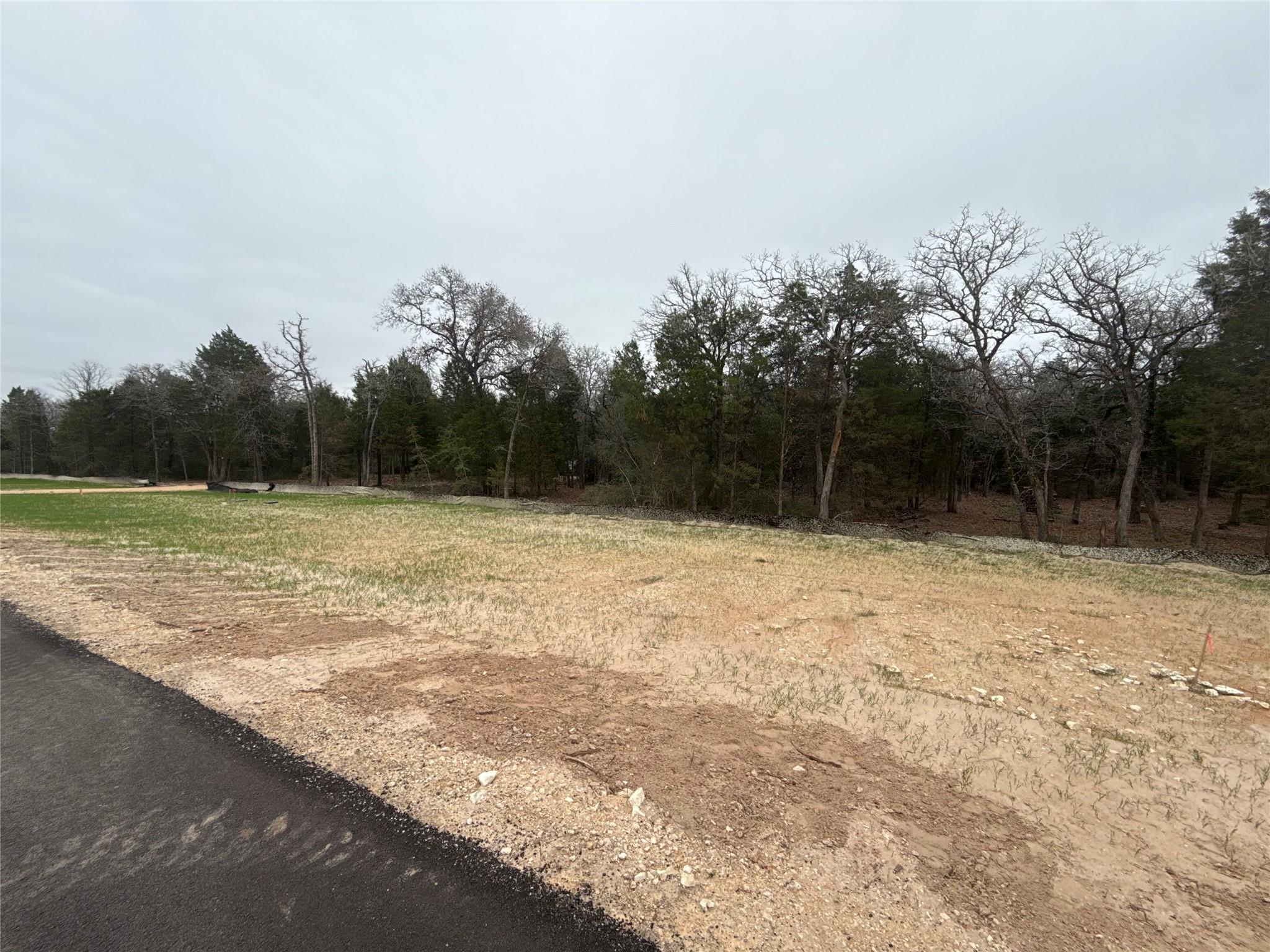 158 Los Robles Rd, Elgin, TX 78621