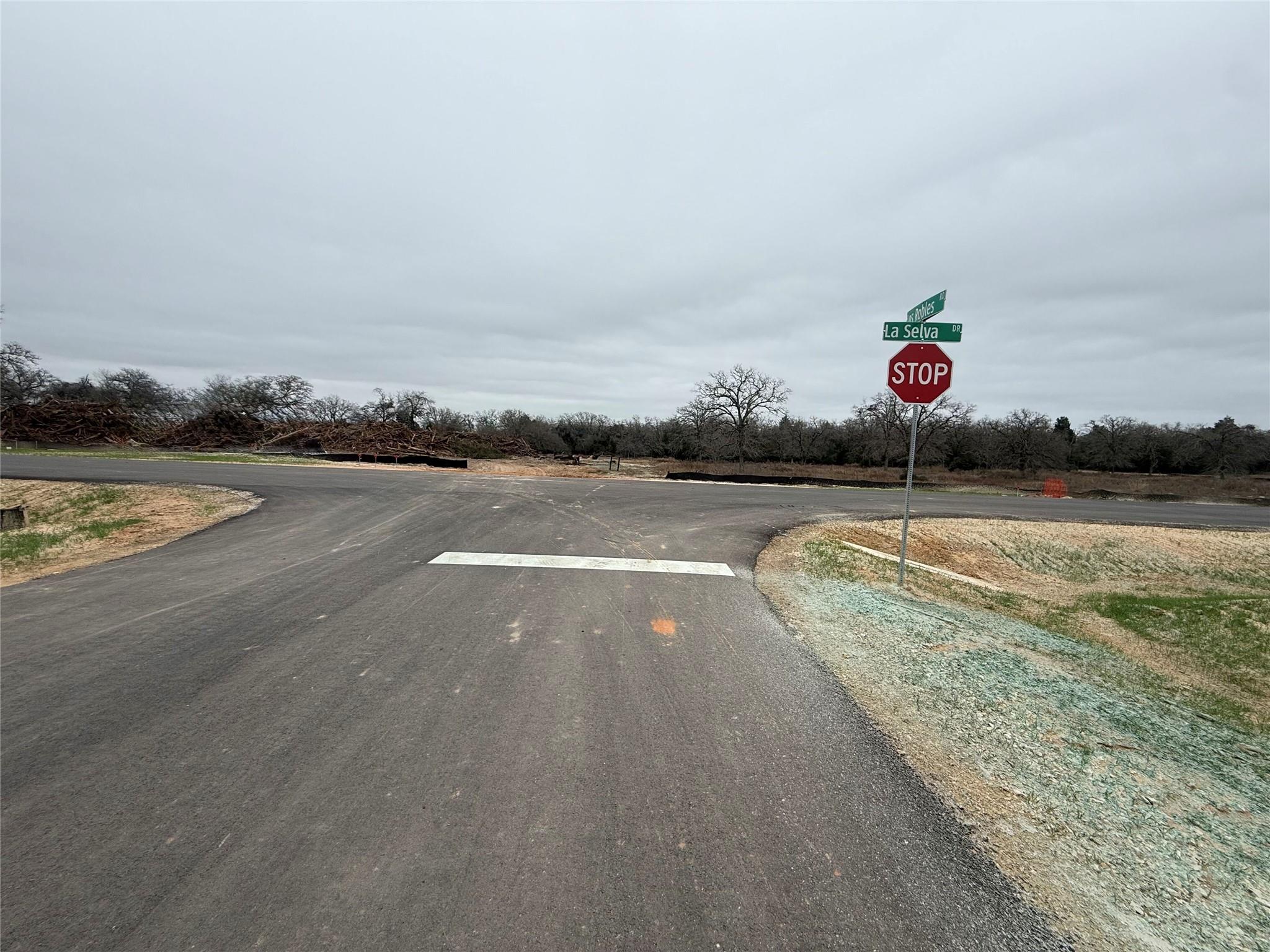 112 Las Alturas Dr, Elgin, TX 78621