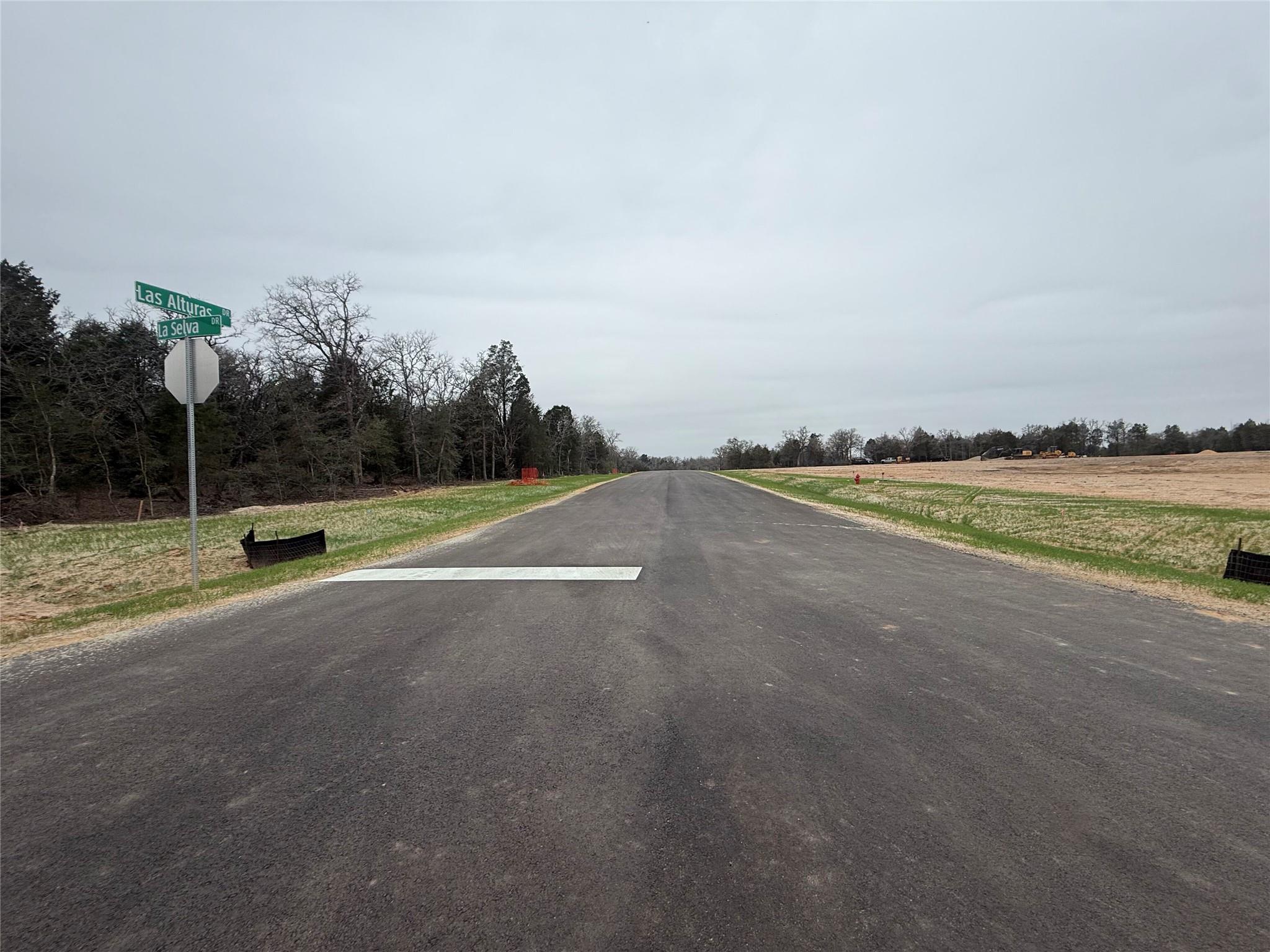 163 Las Alturas Dr, Elgin, TX 78621