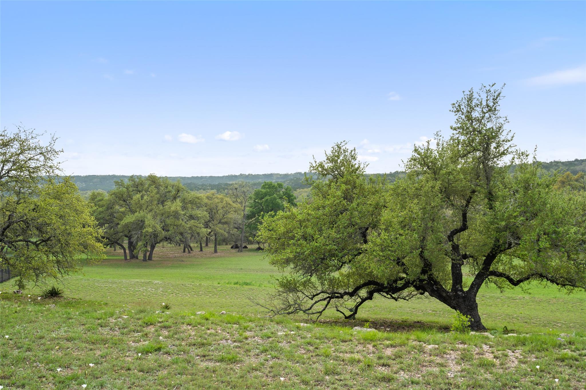 2910 La Ventana Pkwy, Driftwood, TX 78619