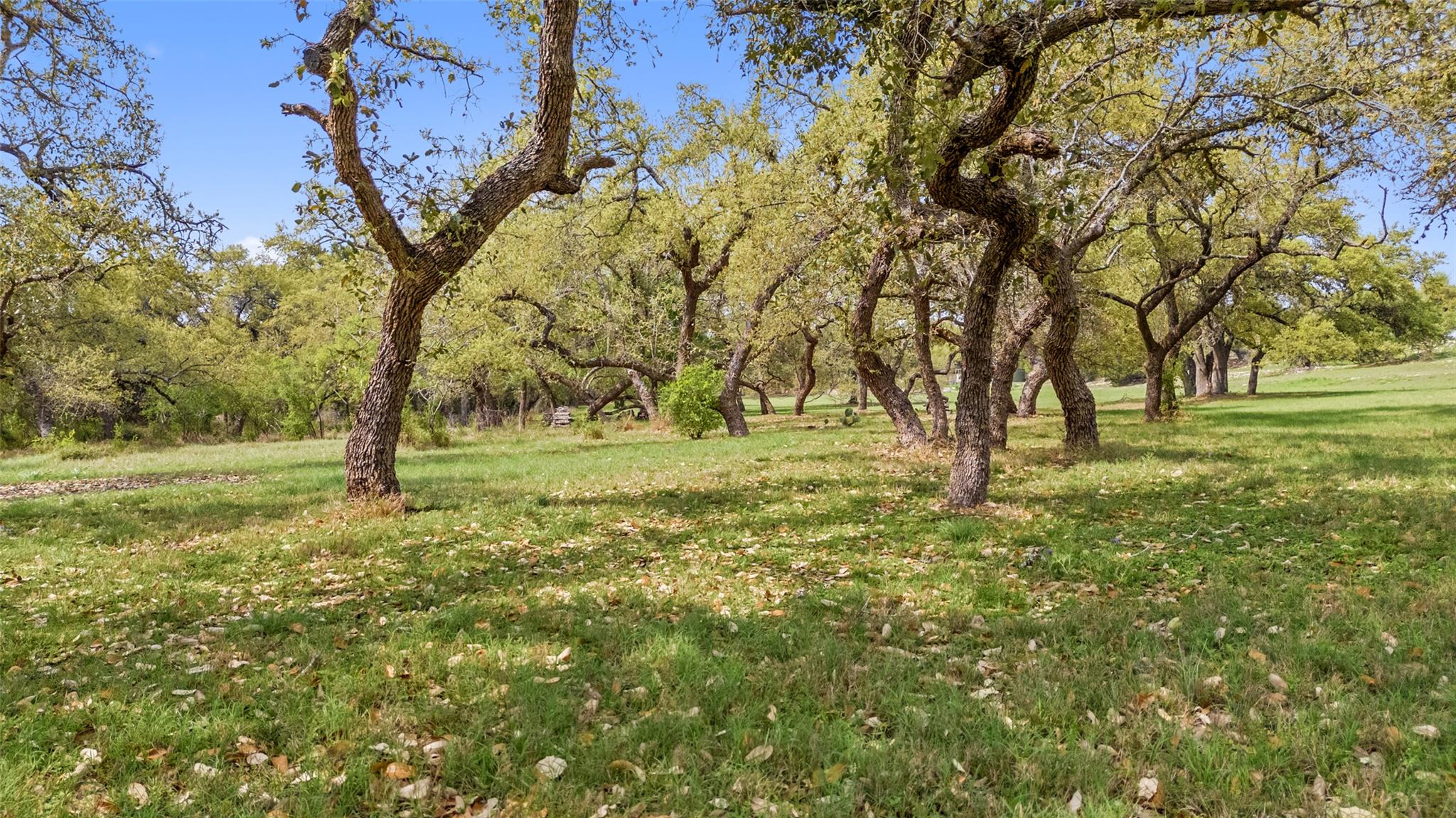 2910 La Ventana Pkwy, Driftwood, TX 78619