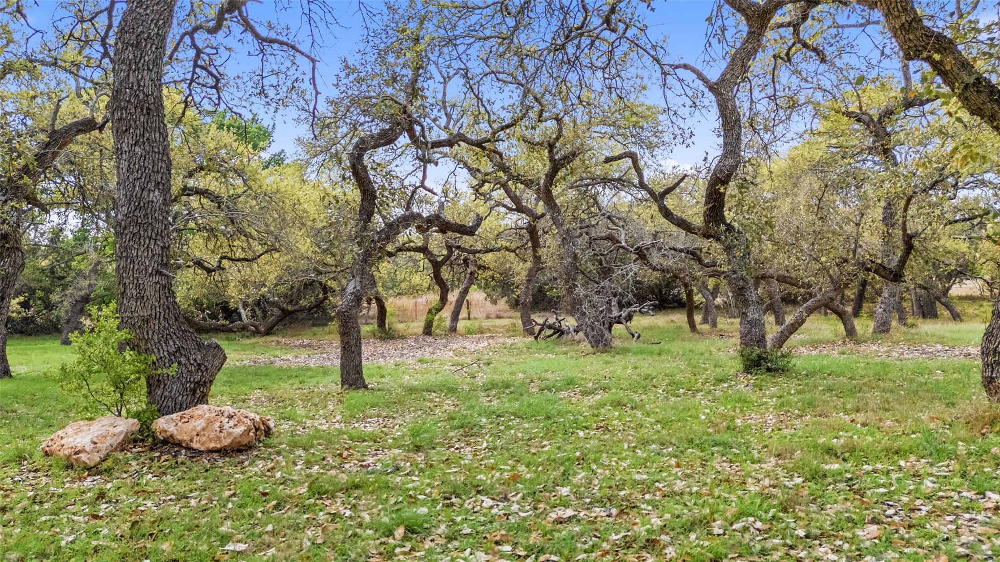 2910 La Ventana Pkwy, Driftwood, TX 78619