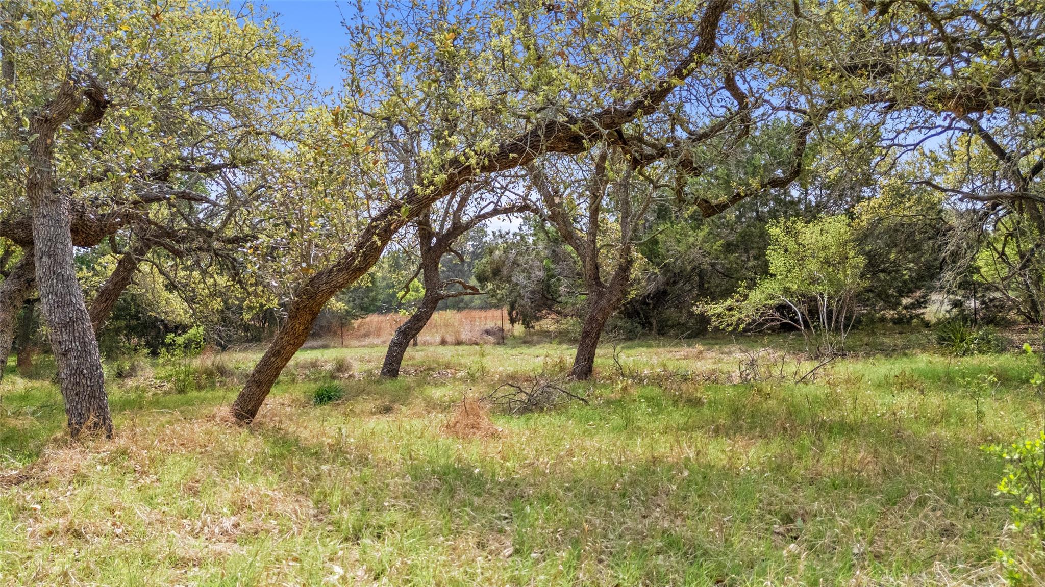 2910 La Ventana Pkwy, Driftwood, TX 78619