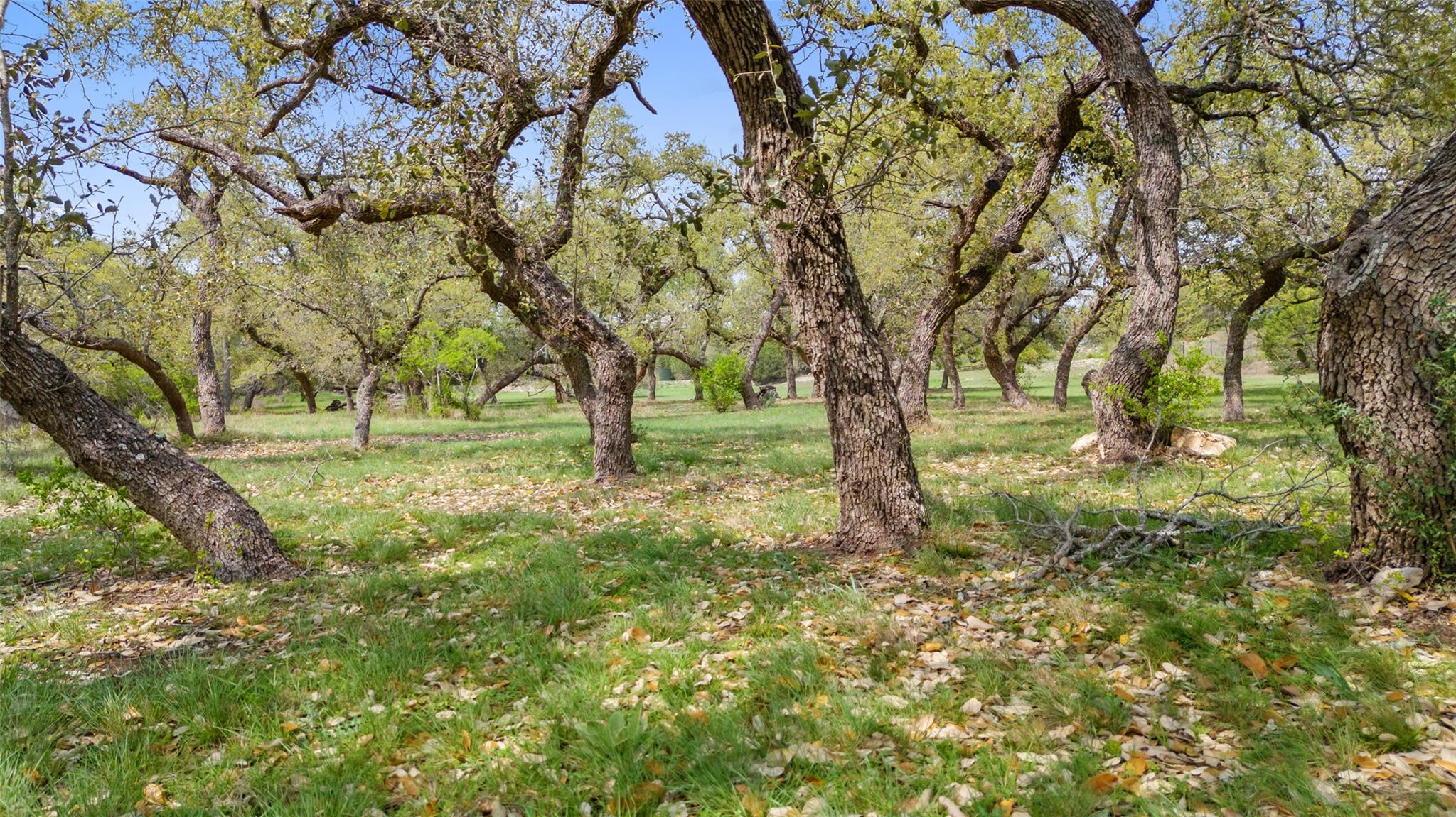 2910 La Ventana Pkwy, Driftwood, TX 78619