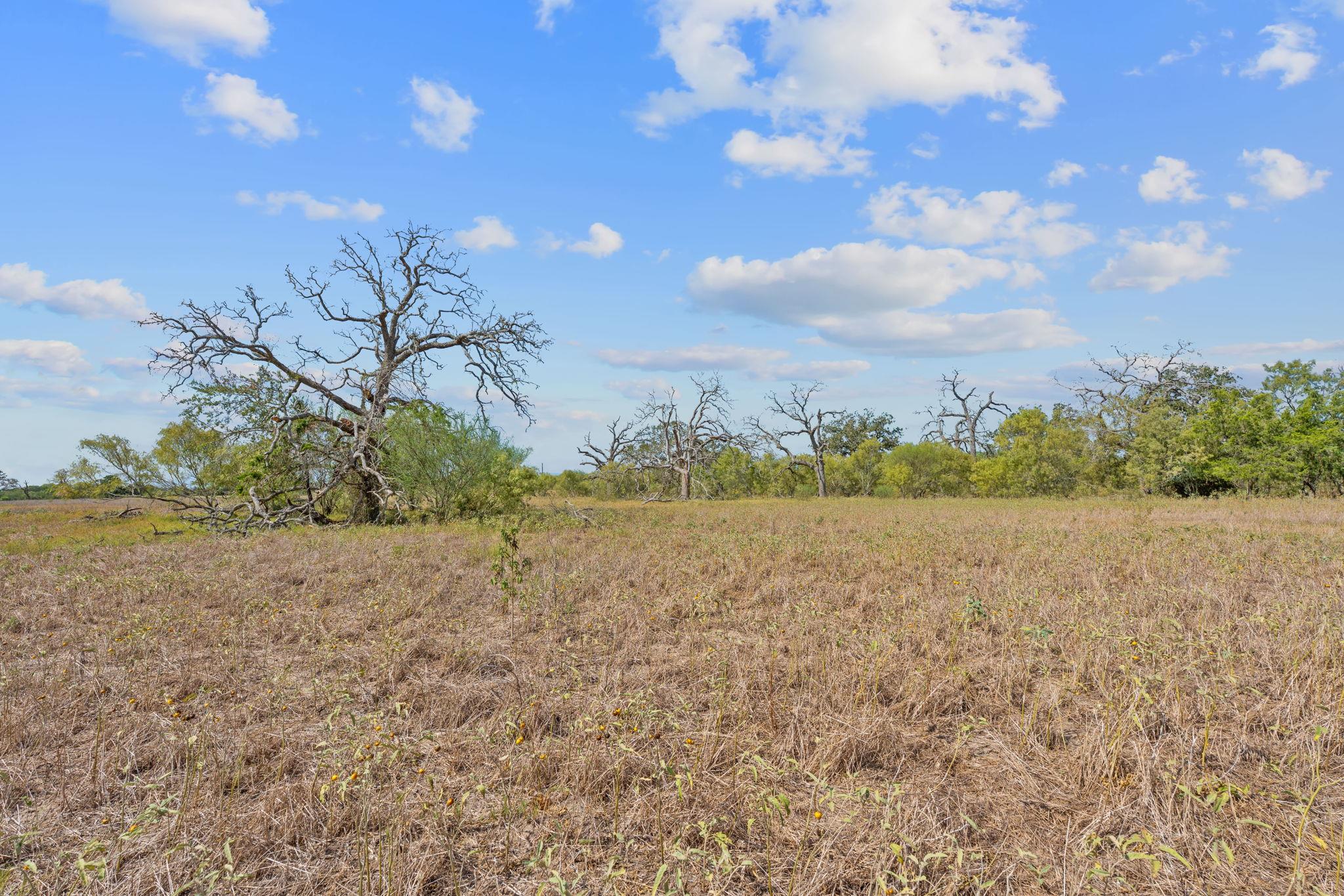 1177 County Road 402, Flatonia, TX 78941