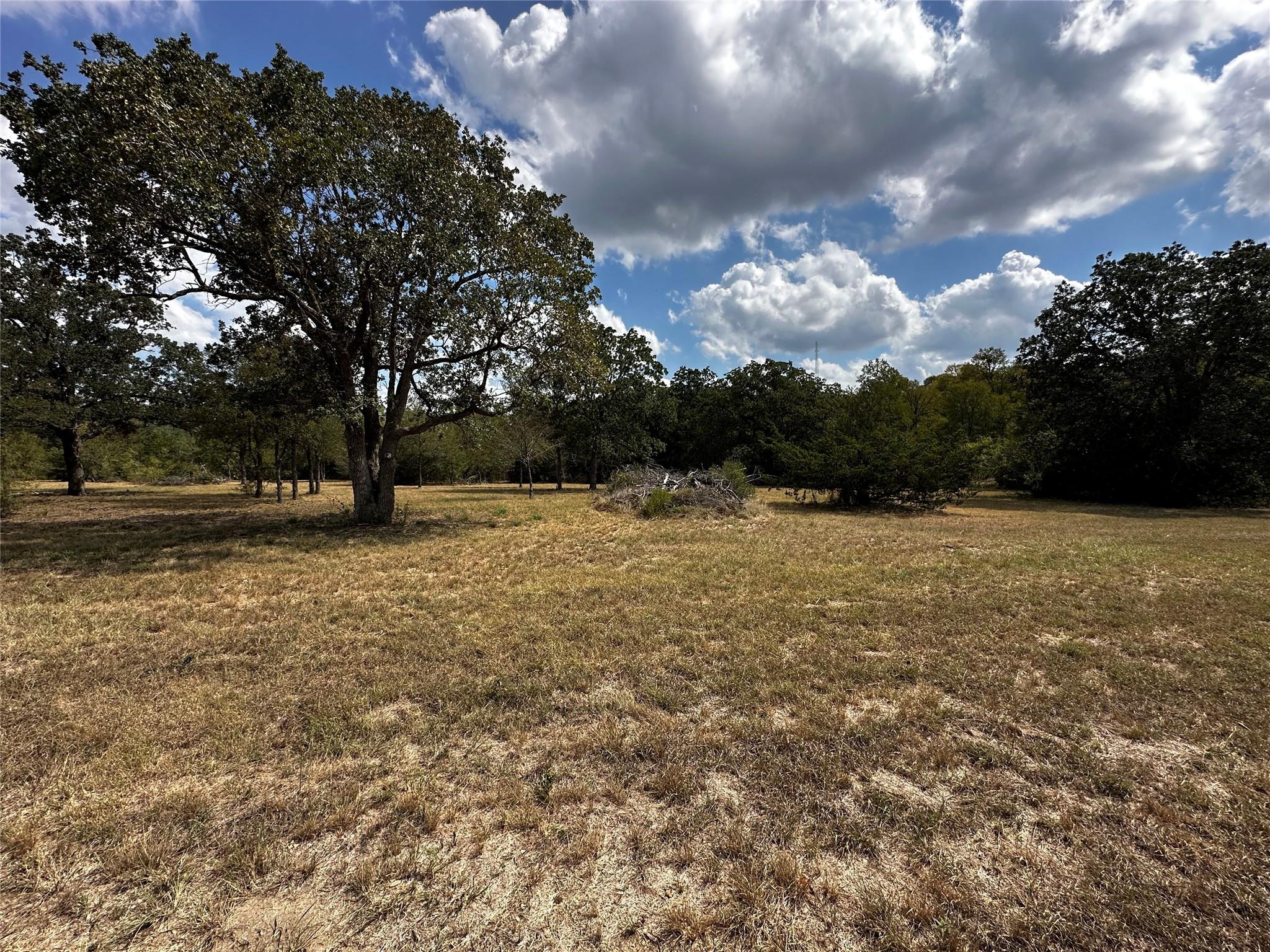 1200 Thompson Rd #lot 3 Rd, Dale, TX 78616