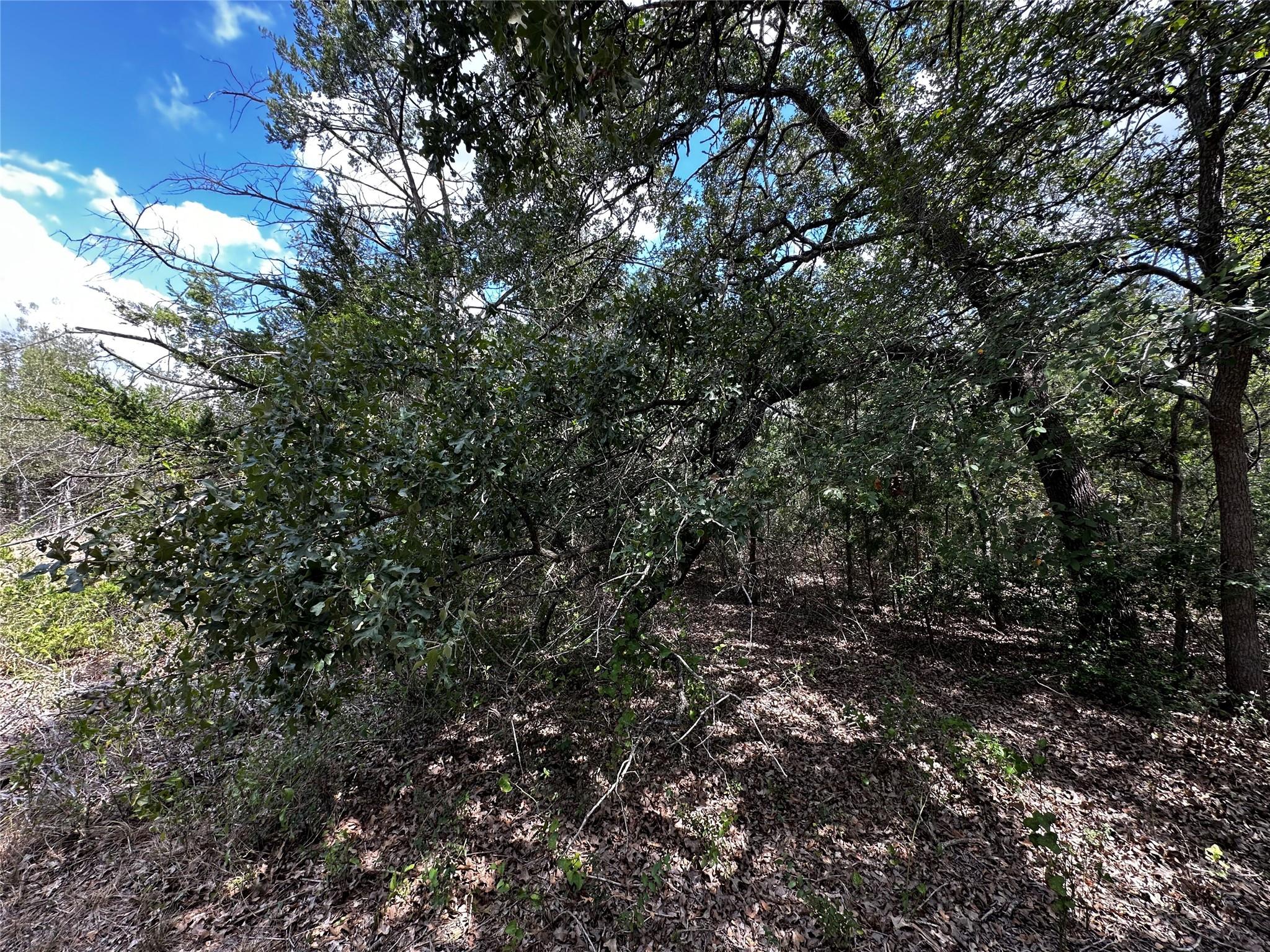 1200 Thompson Rd #lot 3 Rd, Dale, TX 78616