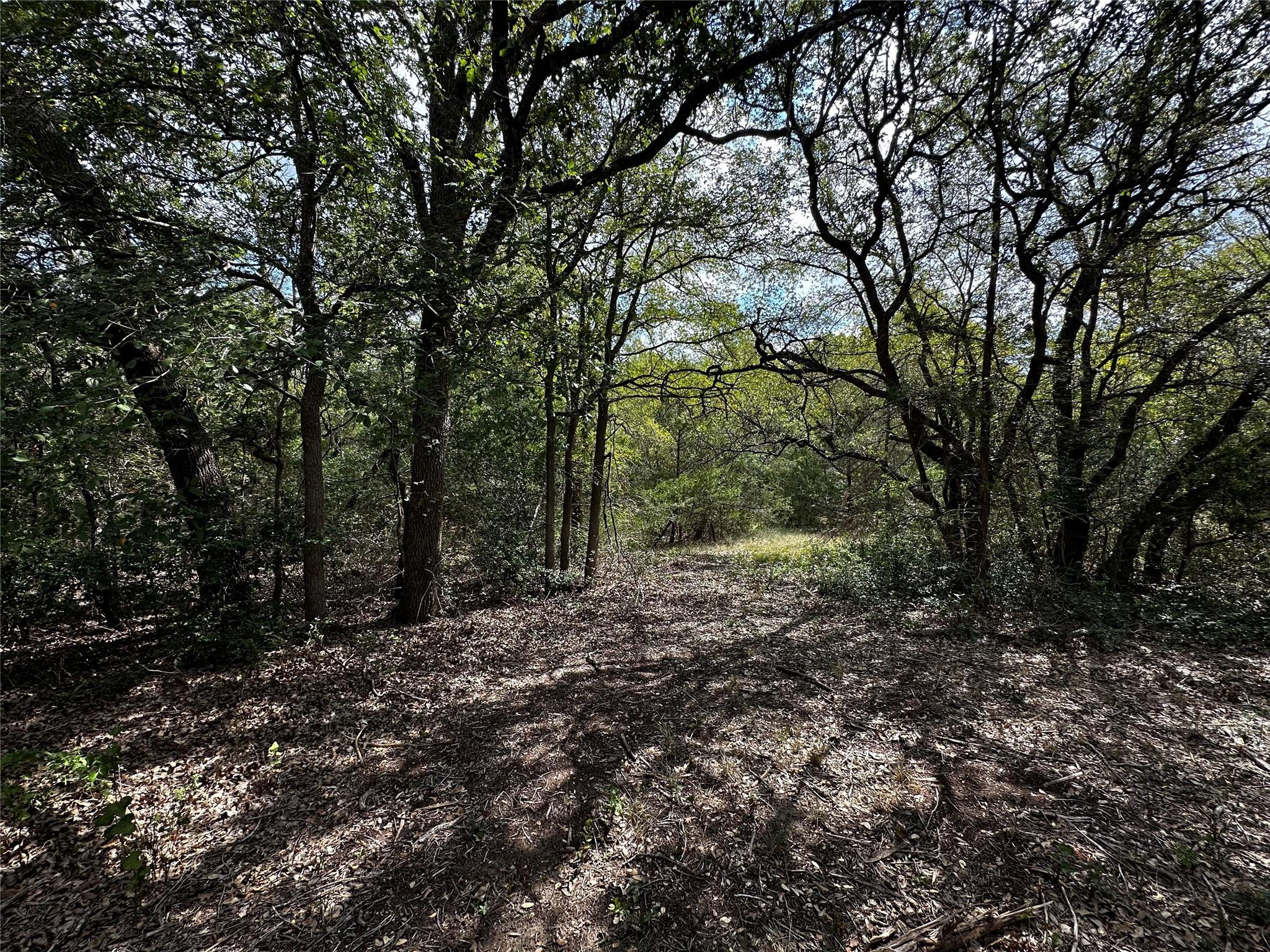 1200 Thompson Rd #lot 3 Rd, Dale, TX 78616