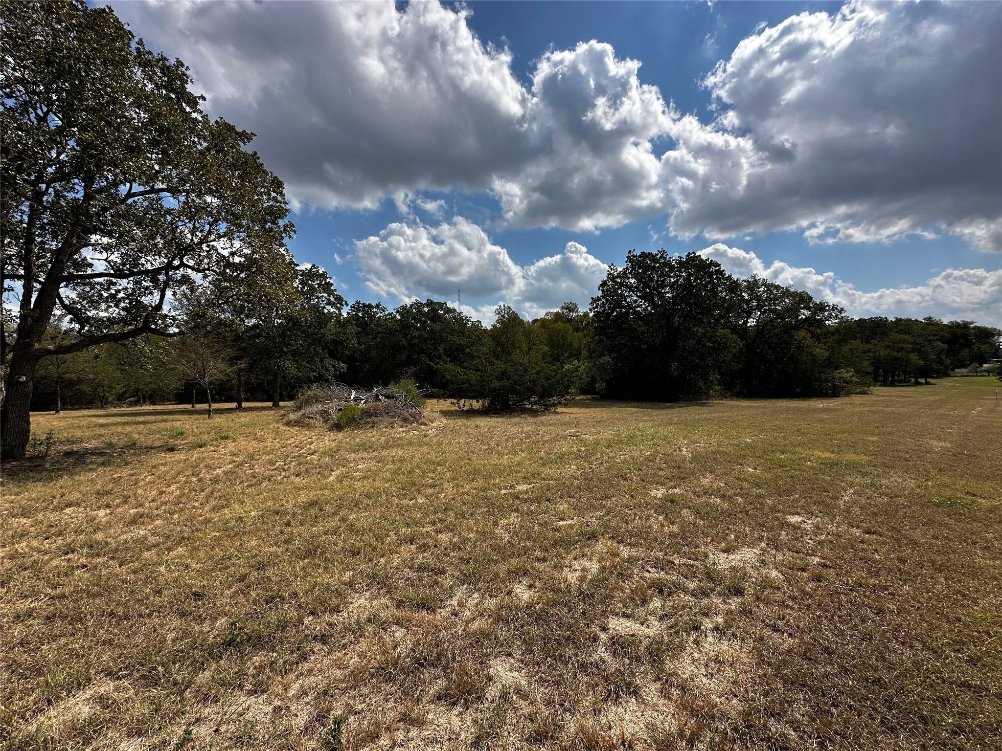 1200 Thompson Rd #lot 3 Rd, Dale, TX 78616