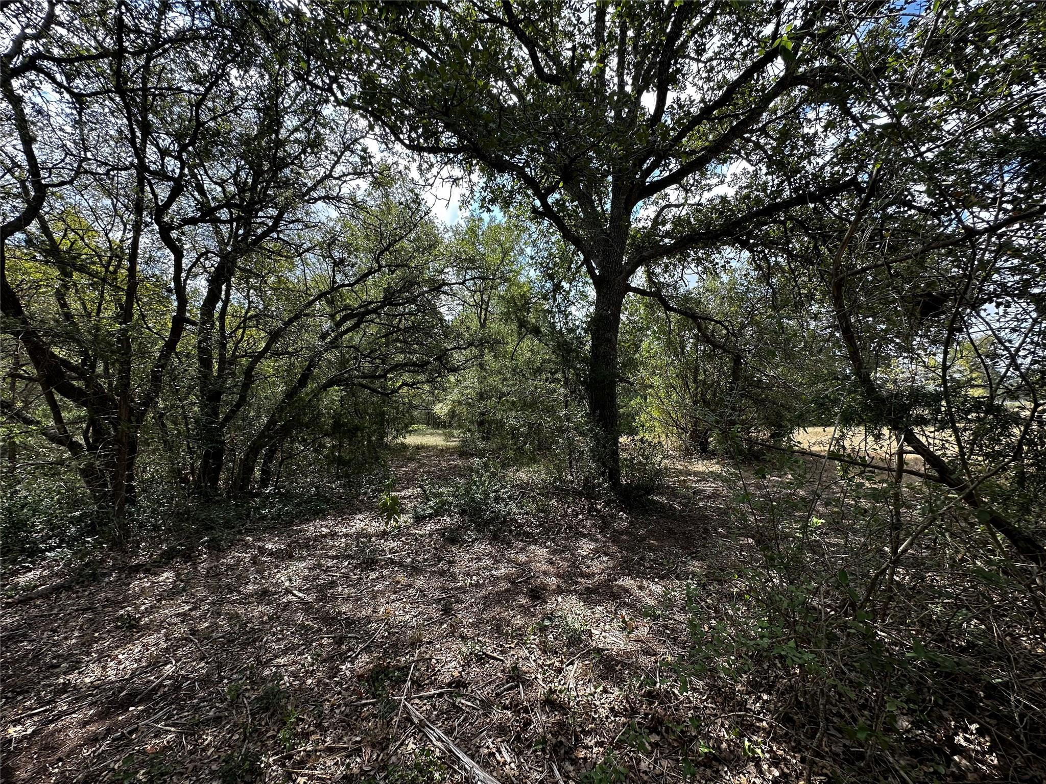 1200 Thompson Rd #lot 3 Rd, Dale, TX 78616