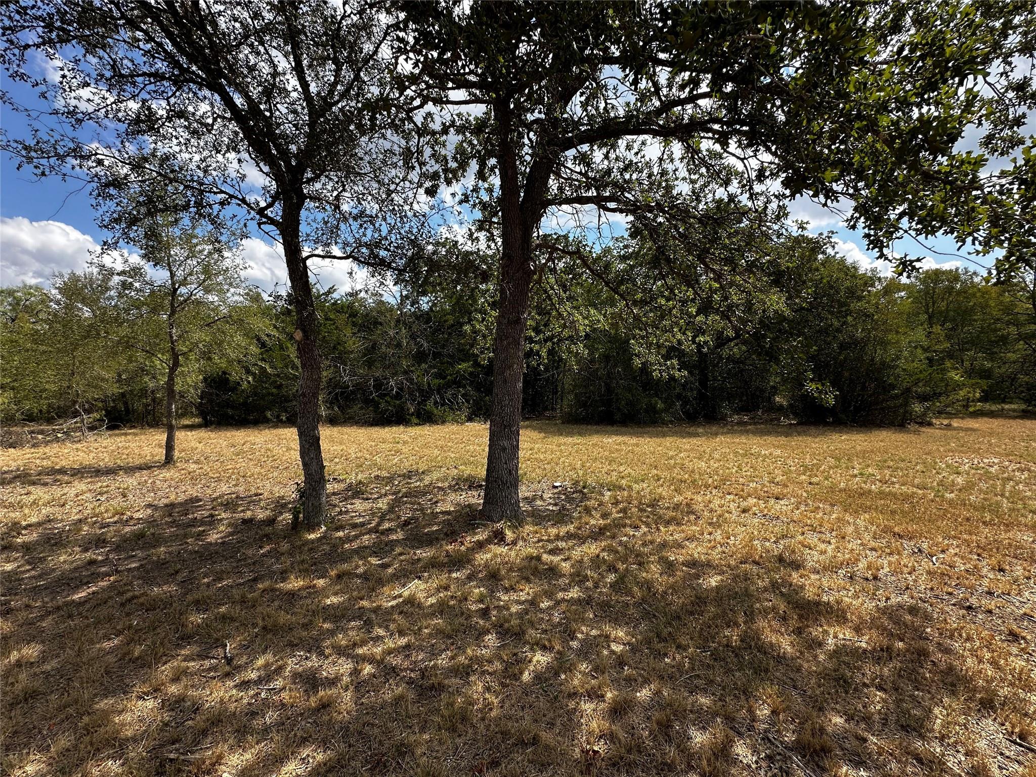 1200 Thompson Rd #lot 3 Rd, Dale, TX 78616