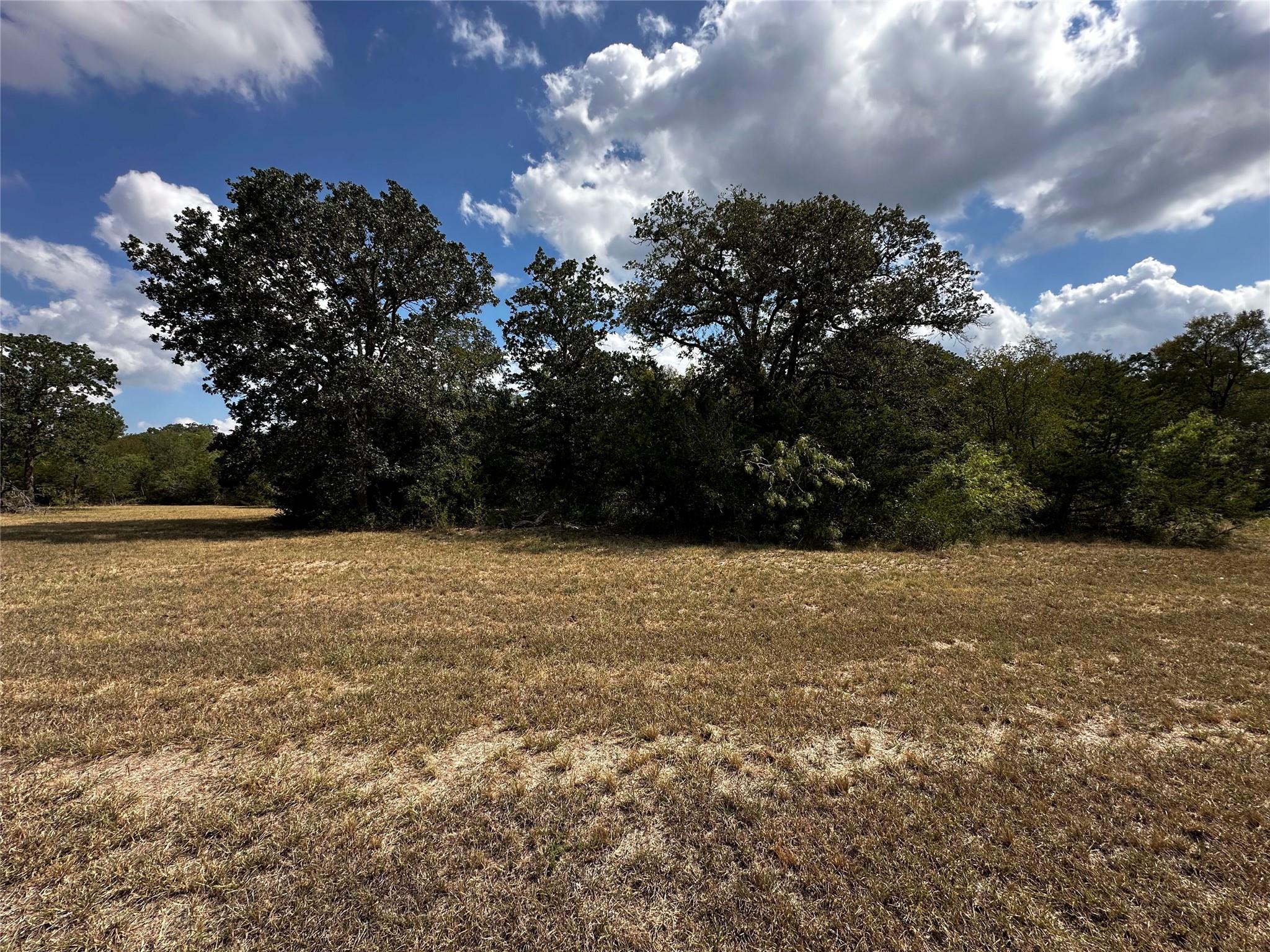 1200 Thompson Rd #lot 3 Rd, Dale, TX 78616