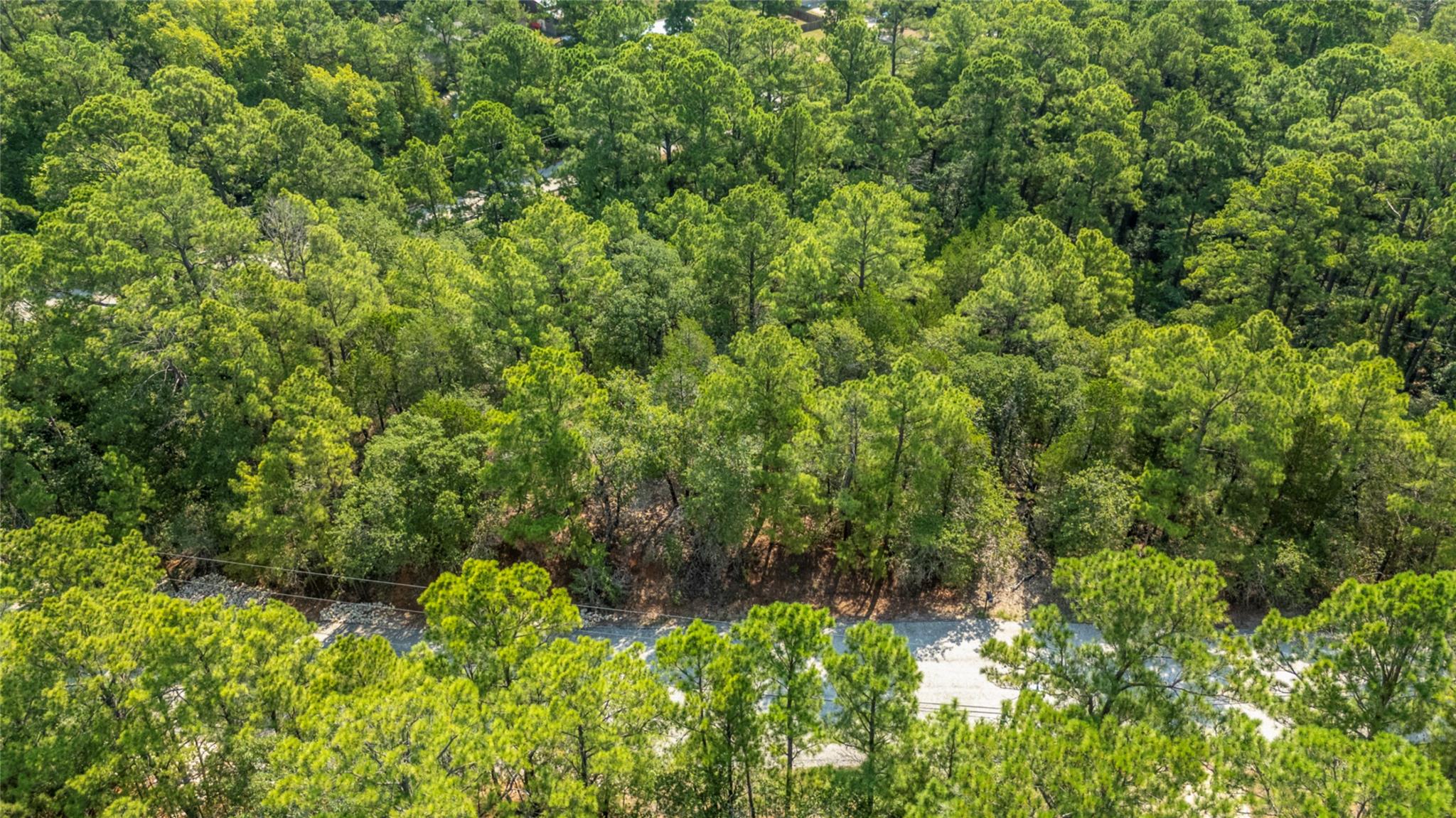 TBD Wainee Dr, Bastrop, TX 78602