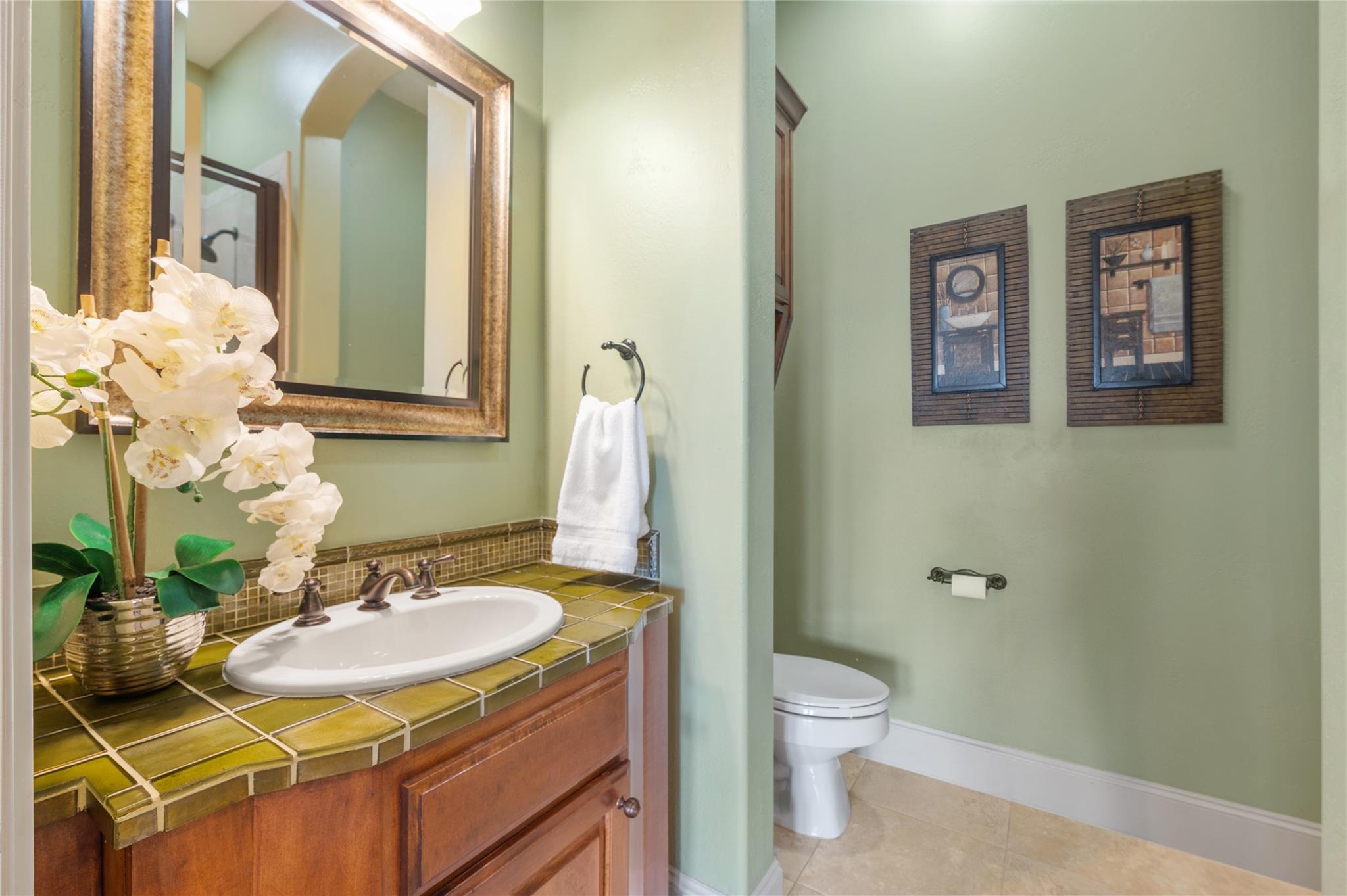 117 Black Wolf Run, Austin, TX 78738