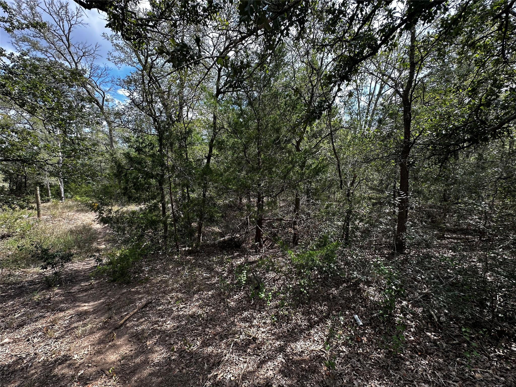 1200 Thompson Rd, Dale, TX 78616