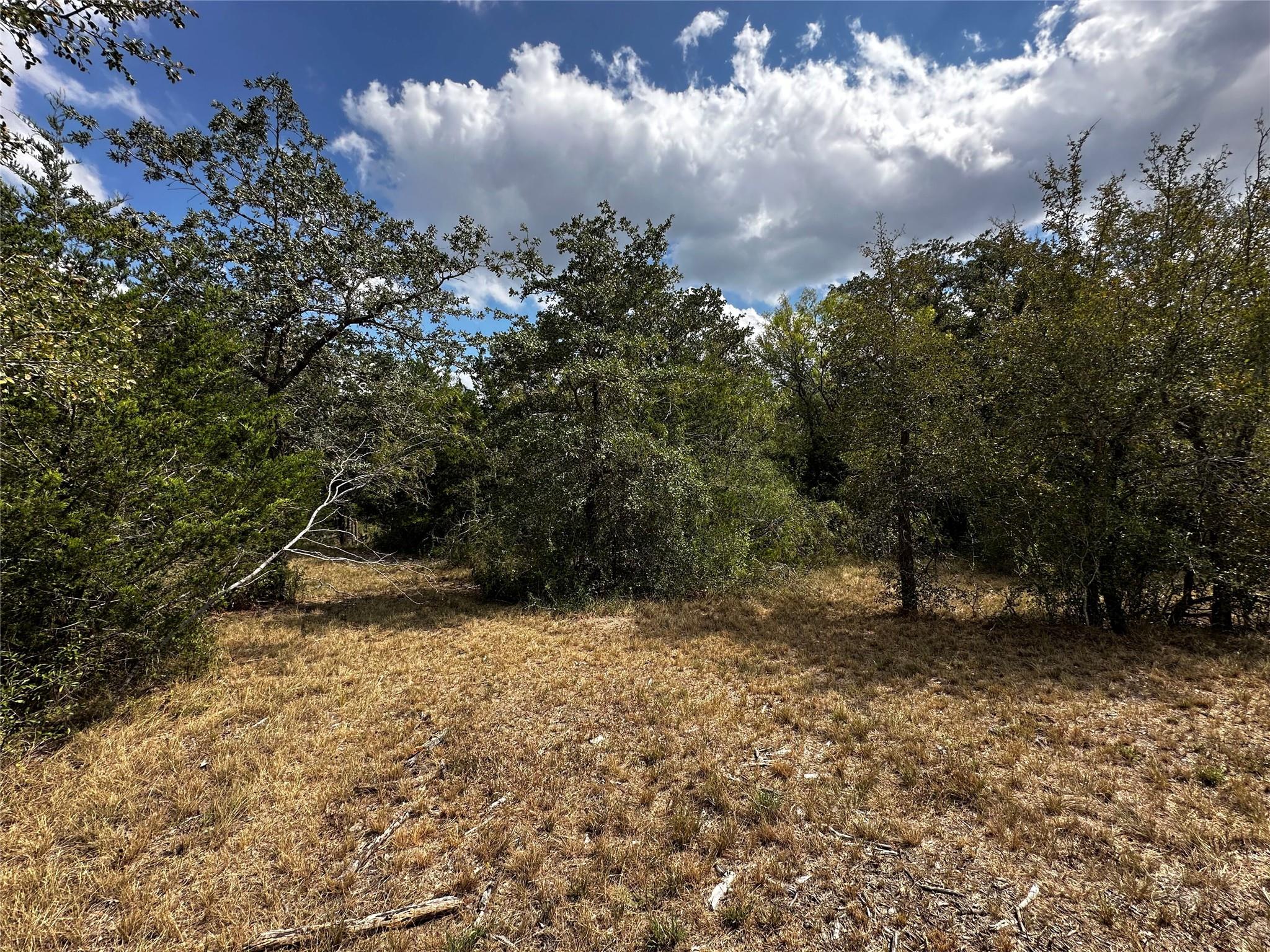 1200 Thompson Rd, Dale, TX 78616