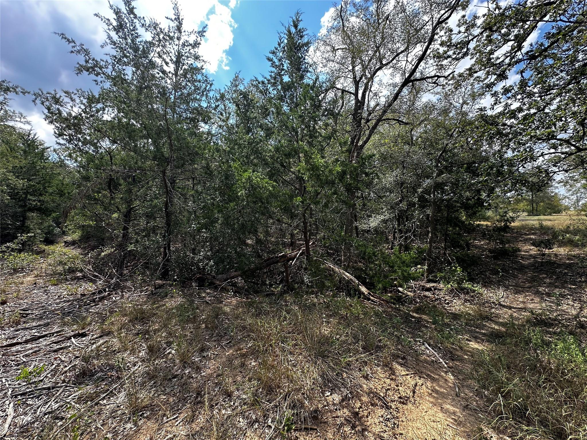 1200 Thompson Rd, Dale, TX 78616