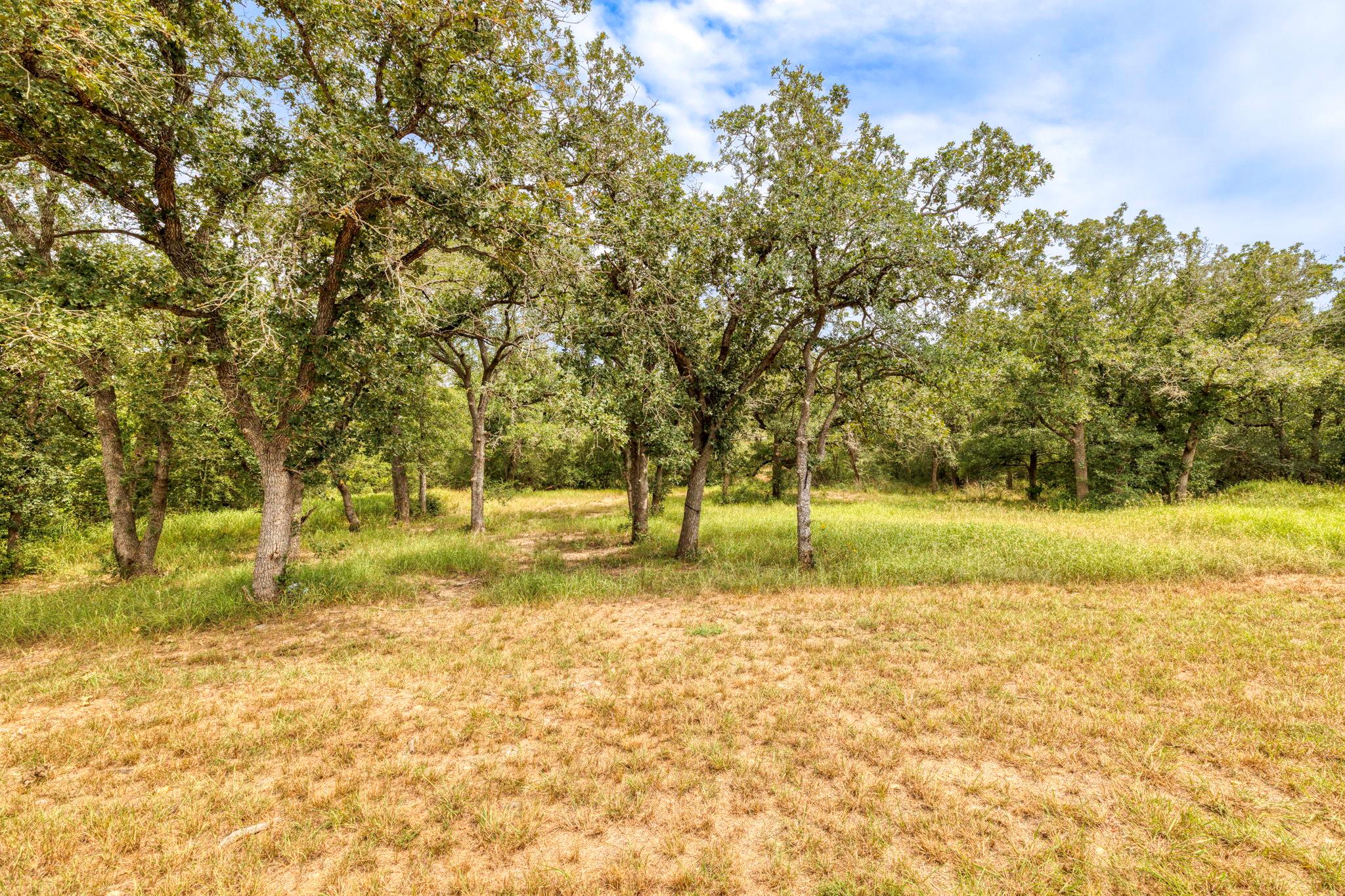446 Post Oak, Gonzales, TX 78629