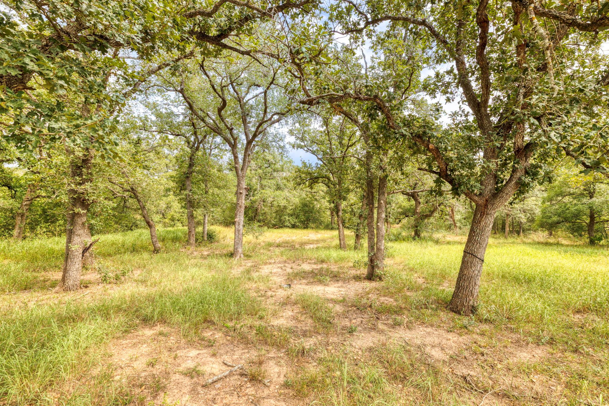 446 Post Oak, Gonzales, TX 78629
