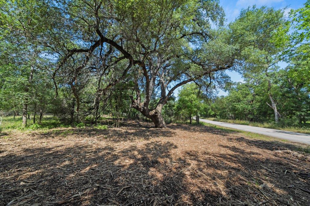 00 1 Caney Creek Rd Rd, New Braunfels, TX 78130