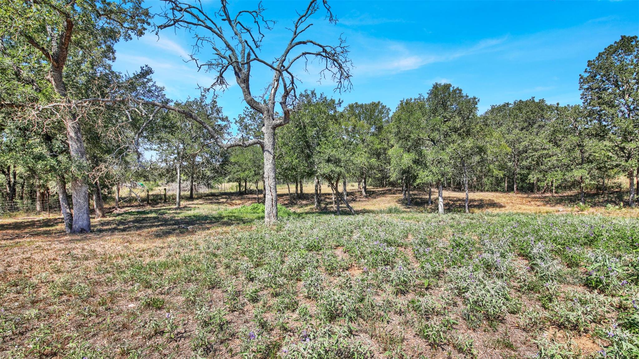 230 Heritage Oaks Dr, Cedar Creek, TX 78612