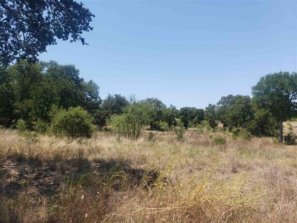 Lot 27 Sierra Bluff Blf, Buchanan Dam, TX 78609