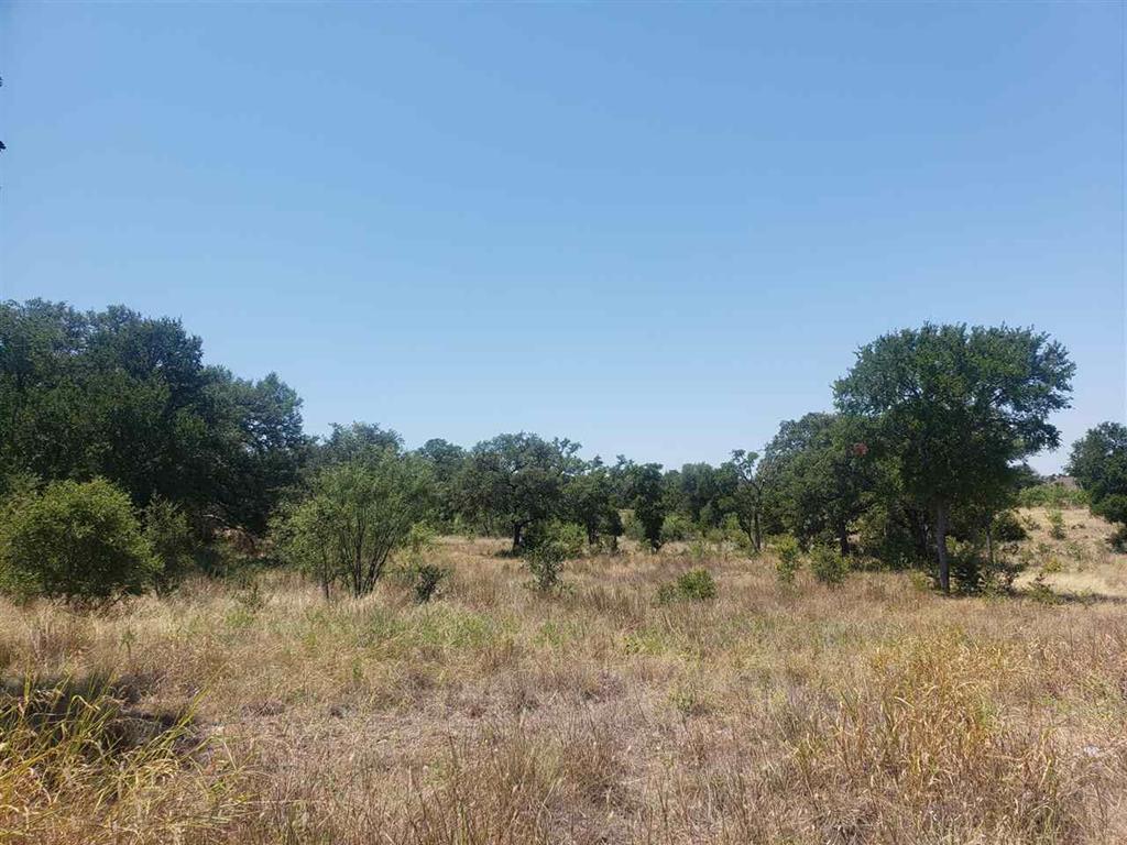 Lot 27 Sierra Bluff Blf, Buchanan Dam, TX 78609