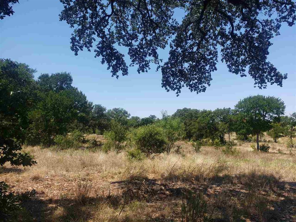 Lot 27 Sierra Bluff Blf, Buchanan Dam, TX 78609