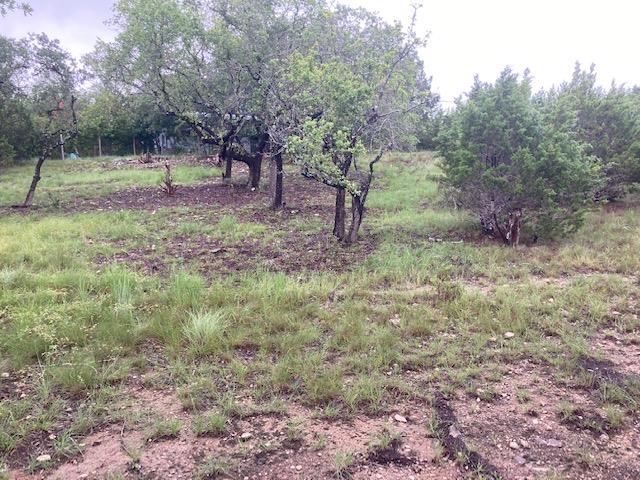 21501 Paine Ave, Lago Vista, TX 78645