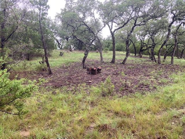 21501 Paine Ave, Lago Vista, TX 78645