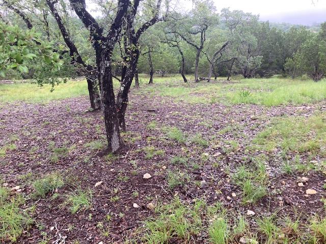 21501 Paine Ave, Lago Vista, TX 78645