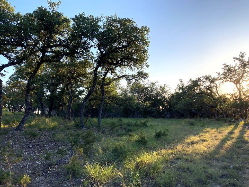 21501 Paine Ave, Lago Vista, TX 78645