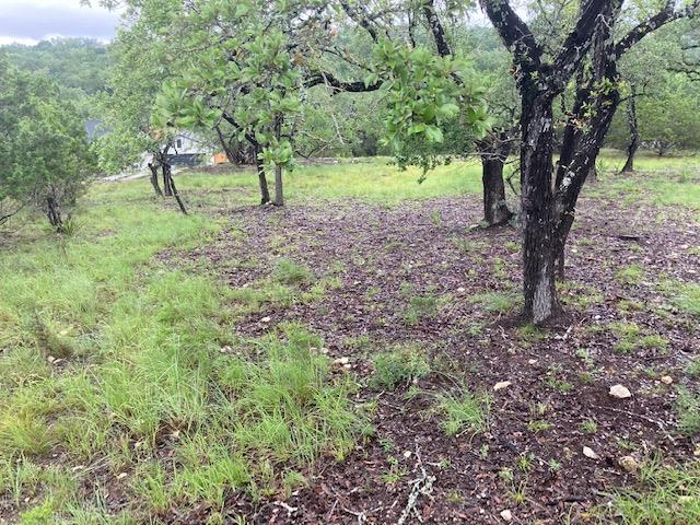 21501 Paine Ave, Lago Vista, TX 78645