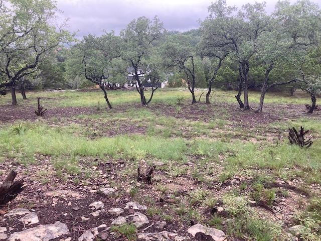 21501 Paine Ave, Lago Vista, TX 78645