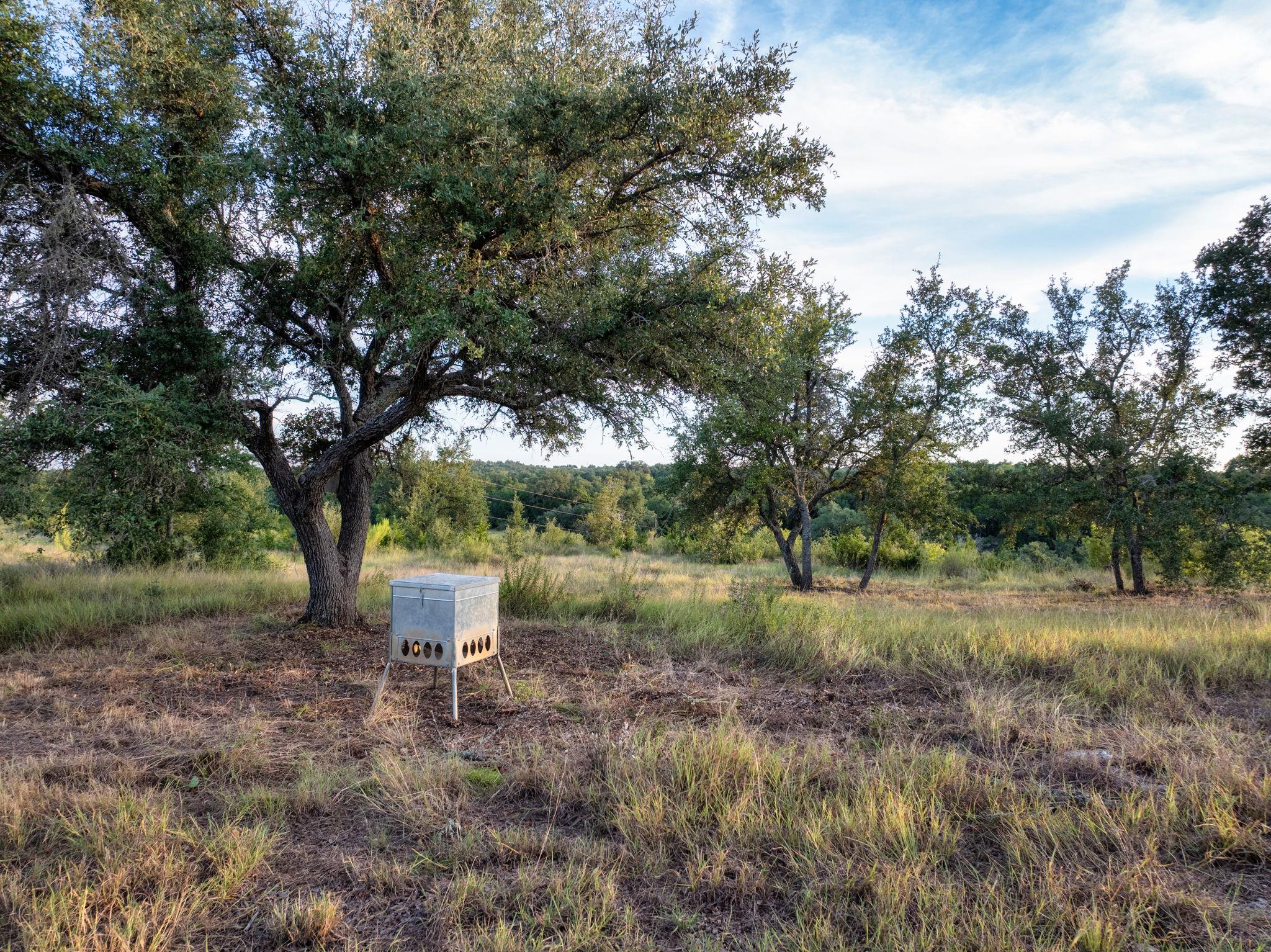 7275 Creek Rd, Dripping Springs, TX 78620