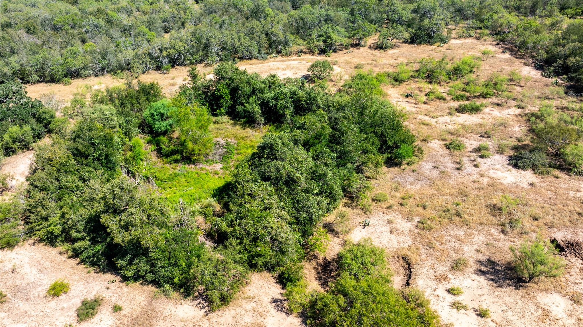 Lot 2A Tumbleweed Trl, Dale, TX 78616