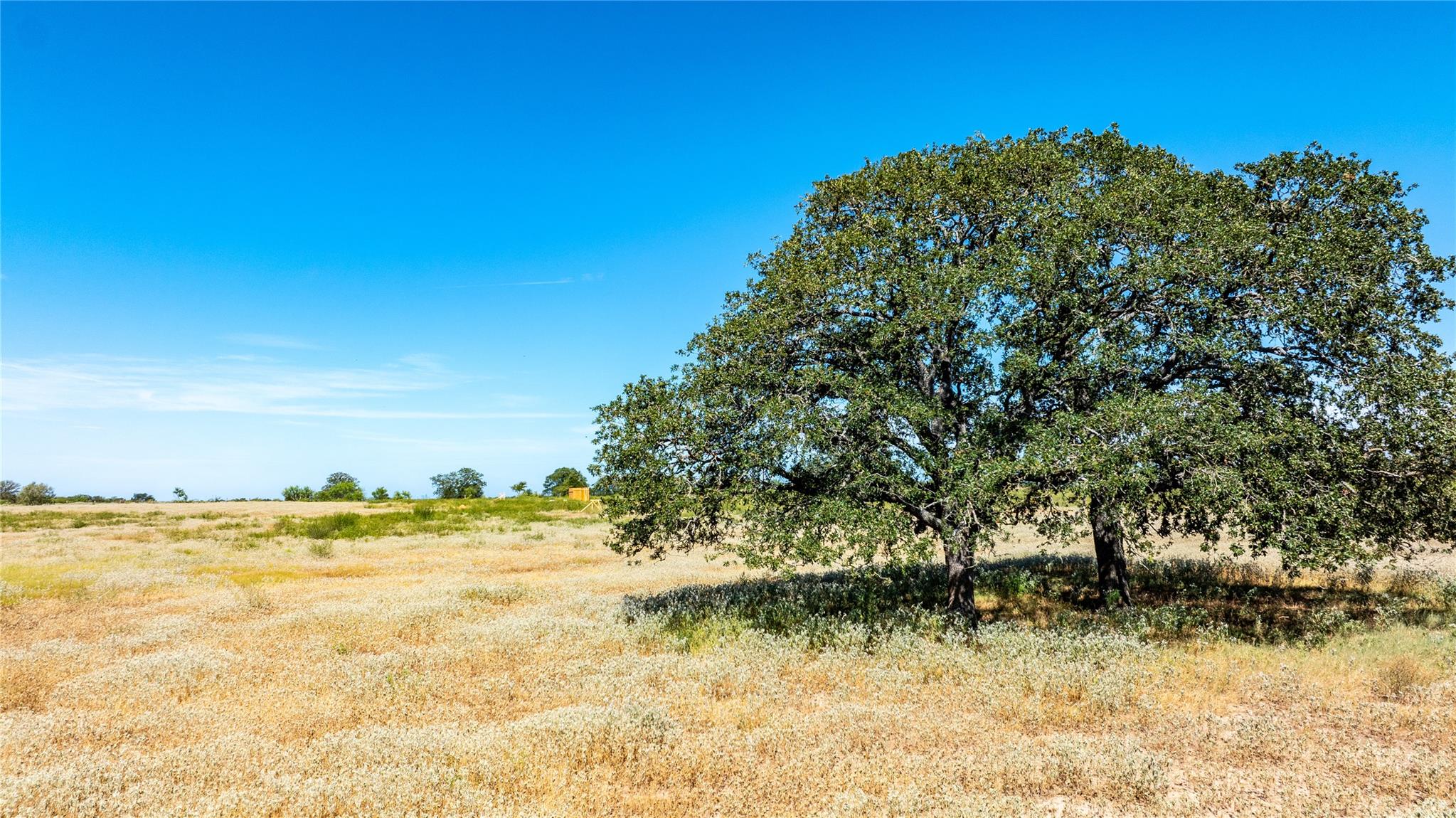 LOT 4B Tumbleweed Trl, Dale, TX 78616