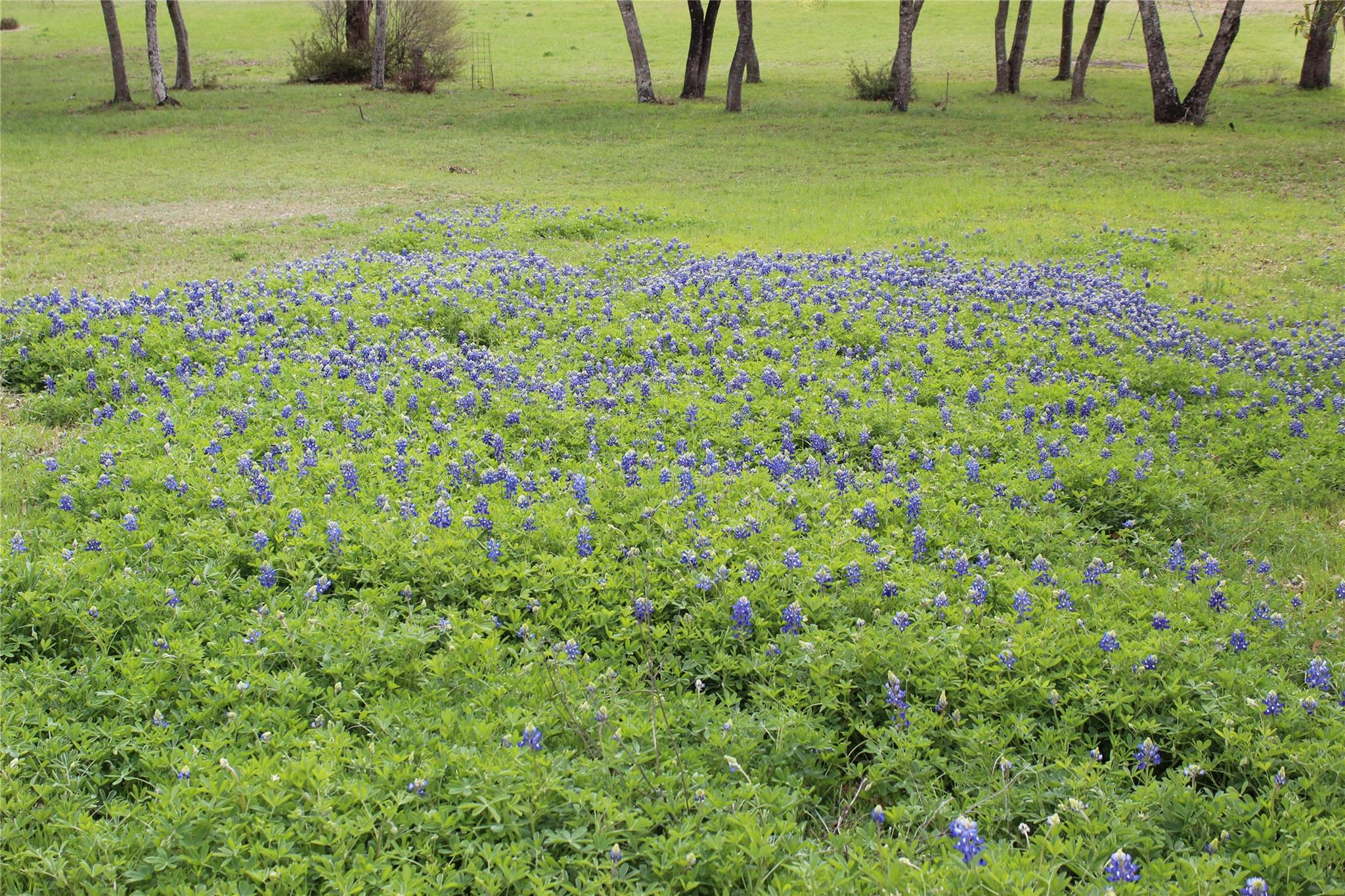 19115 Old F M Road 1431, Jonestown, TX 78645