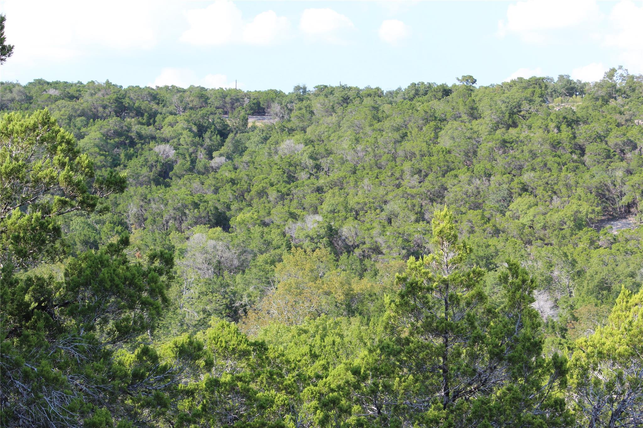 19115 Old F M Road 1431, Jonestown, TX 78645