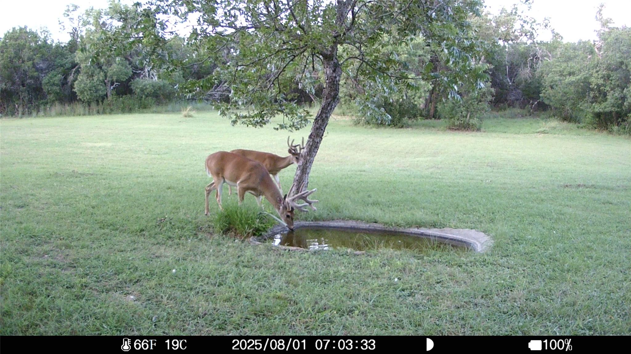 19115 Old F M Road 1431, Jonestown, TX 78645