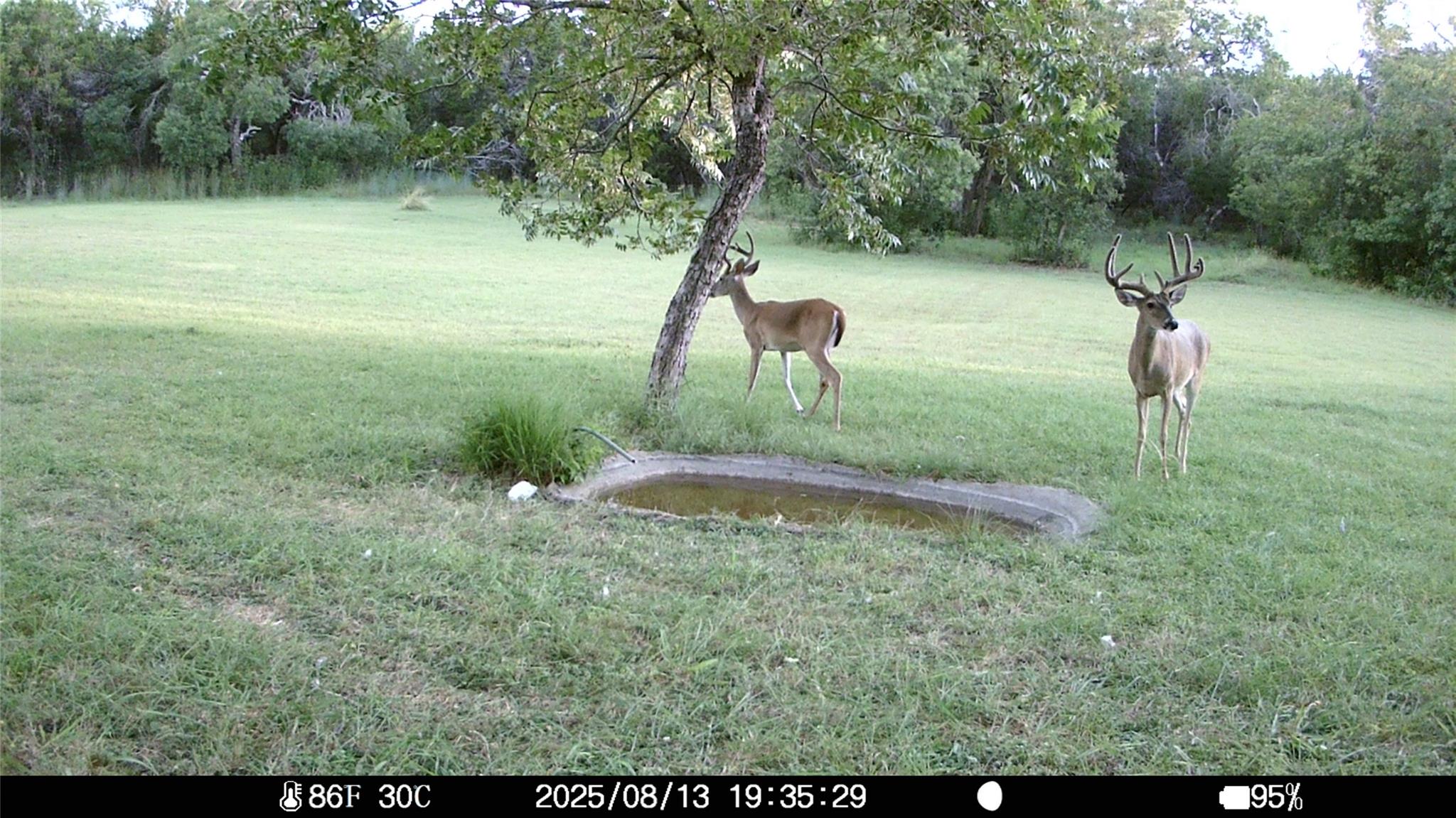 19115 Old F M Road 1431, Jonestown, TX 78645