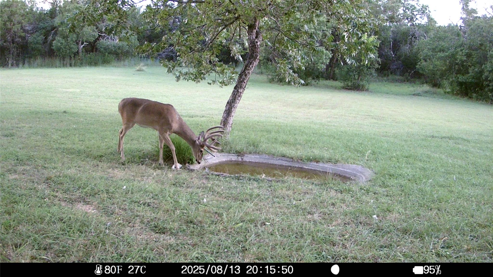 19115 Old F M Road 1431, Jonestown, TX 78645