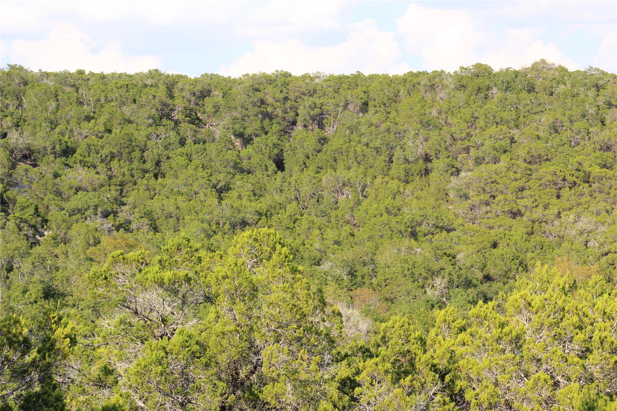 19115 Old F M Road 1431, Jonestown, TX 78645