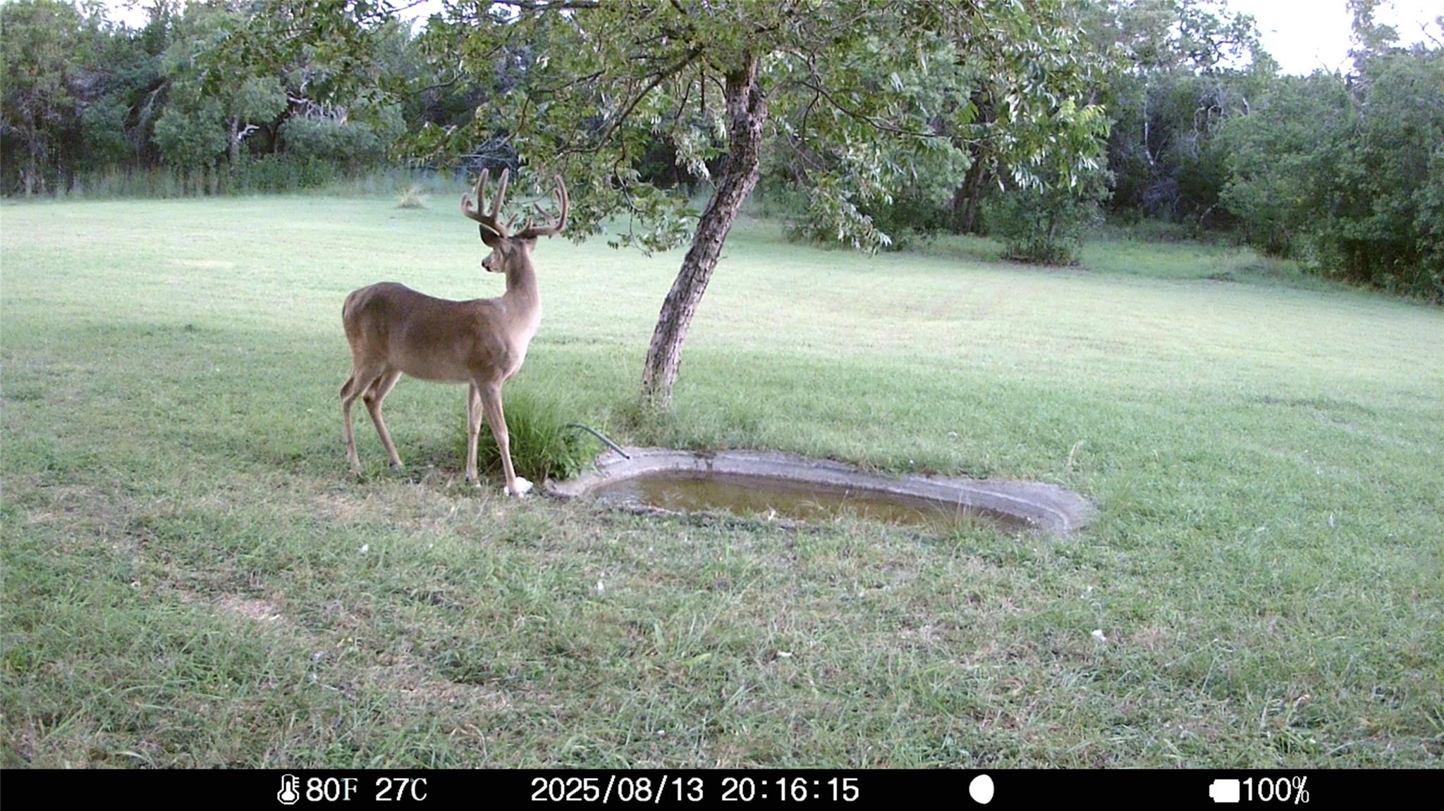 19115 Old F M Road 1431, Jonestown, TX 78645