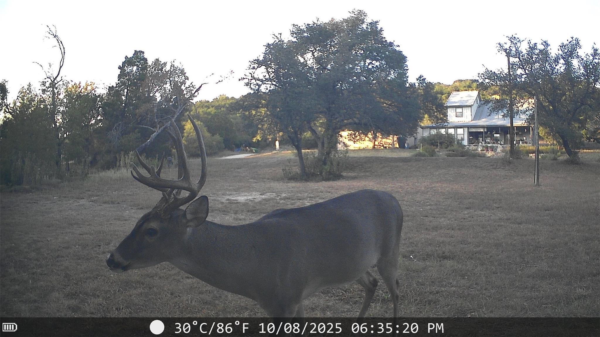 19115 Old F M Road 1431, Jonestown, TX 78645